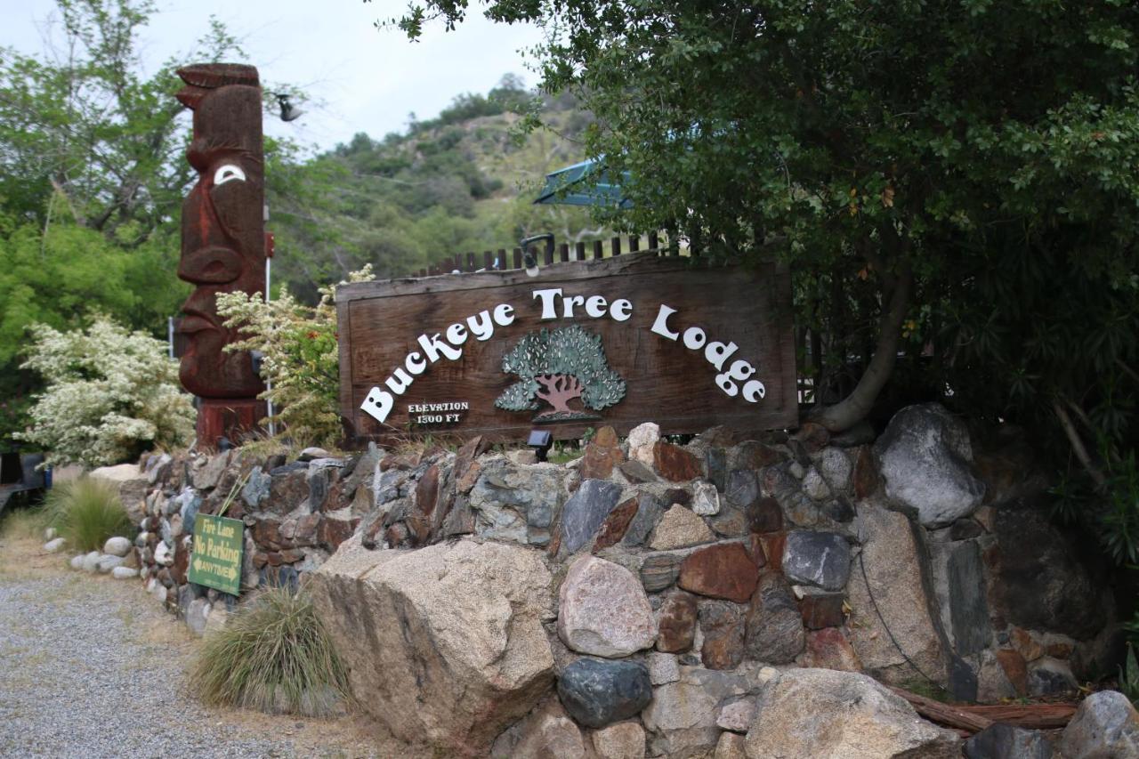 Buckeye Tree Lodge Three Rivers Esterno foto