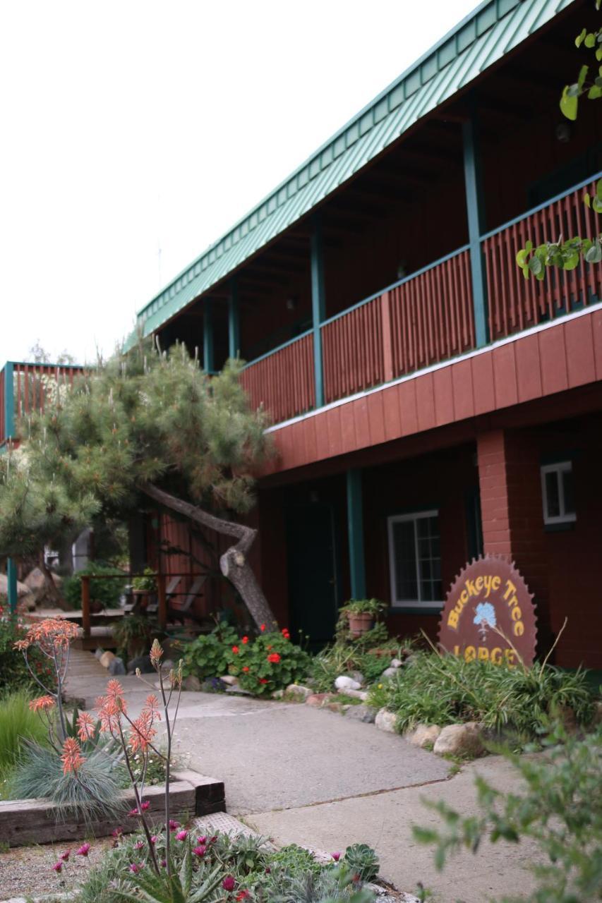 Buckeye Tree Lodge Three Rivers Esterno foto