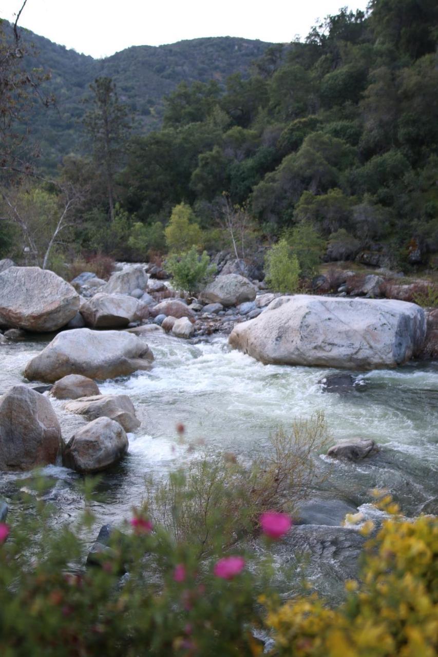 Buckeye Tree Lodge Three Rivers Esterno foto